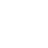 LinkedIn Icon